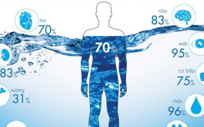 Sử dụng máy lọc nước để giữ dáng và khỏe mạnh