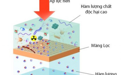 Thẩm thấu ngược