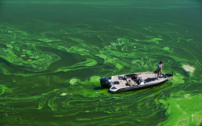 Ô nhiễm môi trường nước, hiện trạng, ảnh hưởng và cách khắc phục tại Việt Nam