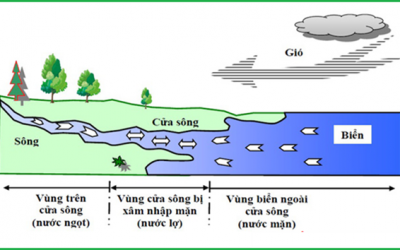 Độ mặn là gì? Thiết bị đo độ mặn