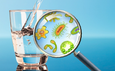 Rất nhiều người đã mắc phải sai lầm này khi sử dụng máy lọc nước nóng lạnh vào mùa hè