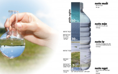Phân loại các dòng máy lọc nước mặn theo độ mặn