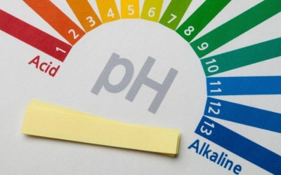 Thang ph là gì? Cách xác định độ pH như thế nào, ảnh hưởng của độ pH đến môi trường sống như thế nào?