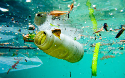 Ô nhiễm môi trường nước. Nguyên nhân, hậu quả và biện pháp khắc phục