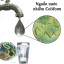Coliform là gì? Những dấu hiệu cho thấy nước nhà bạn bị nhiễm khuẩn coliform
