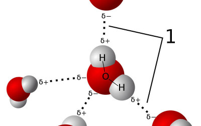 Liên kết hidro là gì?