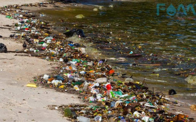 Ô nhiễm môi trường nước là gì? Nguyên nhân và biện pháp khắc phục