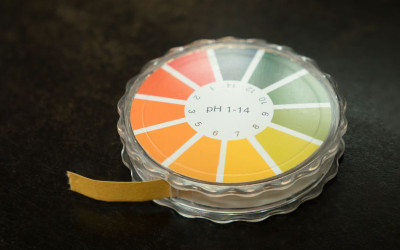 pH và độ pH là gì? Những thông tin bạn cần biết về chỉ số pH