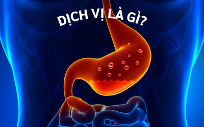 Dịch vị là gì? Tại sao dịch vị của trẻ em lại mang tính kiềm?