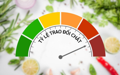 Trao đổi chất trong cơ thể là gì? Những thông tin bạn cần biết
