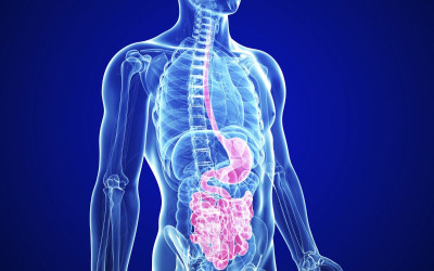 Tác dụng của nước ion kiềm đối với người bị bệnh về tiêu hóa