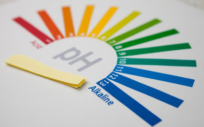 Nước Alkaline là gì? Thông tin cần biết về nước kiềm Alkaline