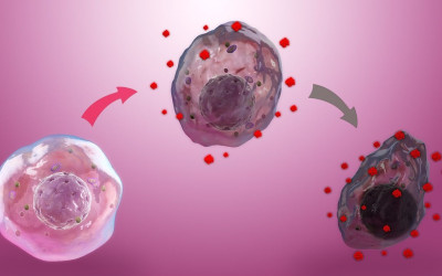Stress oxy hóa là gì? Làm thế nào để ngăn ngừa Stress oxy hóa?