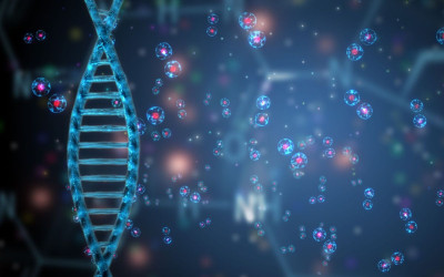 Gốc tự do là gì? Ảnh hưởng của gốc tự do trong cơ thể con người